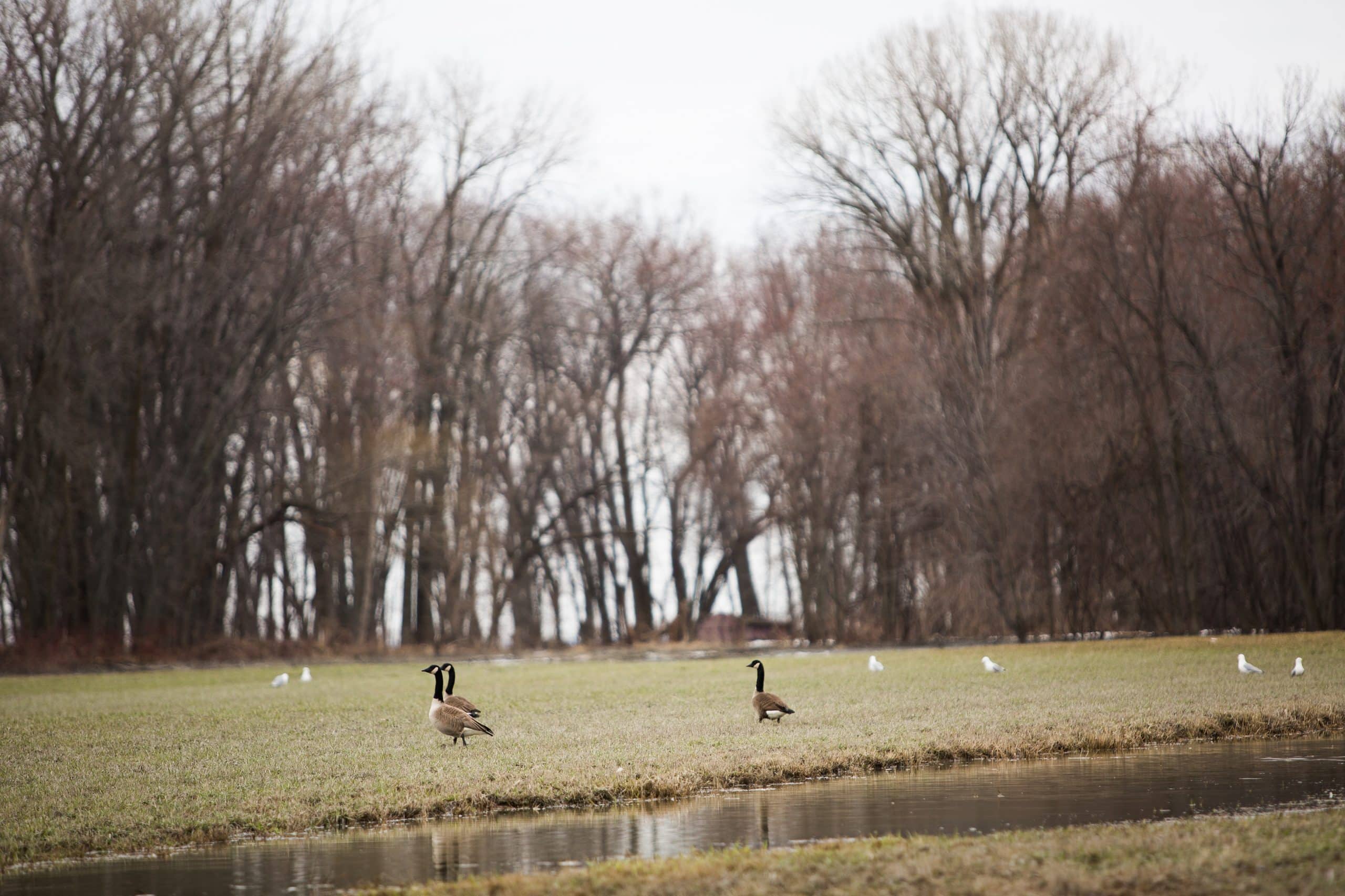 environnement berge changements climatiques